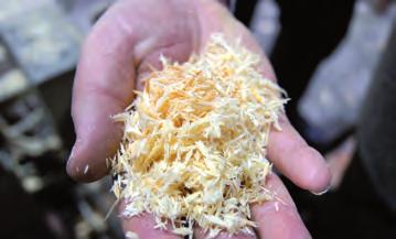 Highlights 2014 page 17 The tool works its way through the center wood at up to 75 m/min leaving a squeaky clean edge Shavings come from the profile cutter this fine and are collected separately In