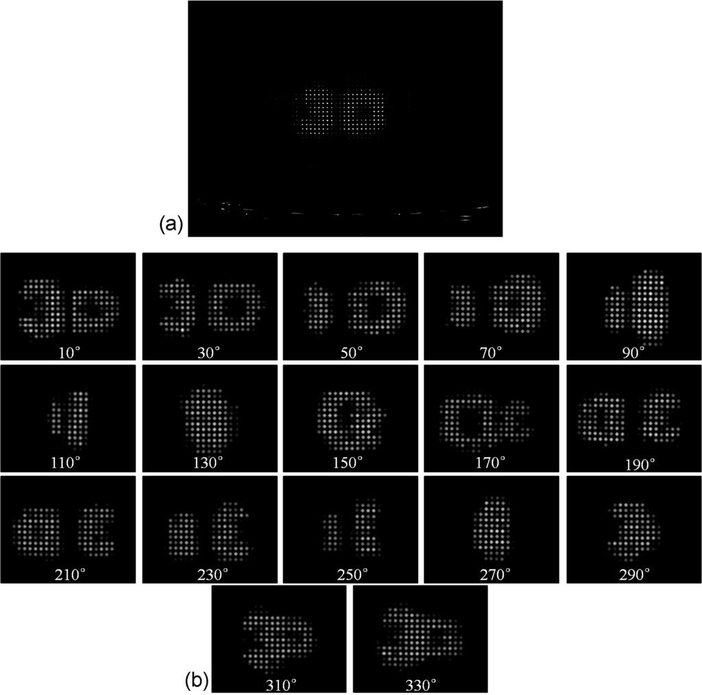 FIGURE 11 The experimental results for a 3-D mode: (a) example of reconstructed virtual 3-D image observed from a specific direction, (b) reconstructed virtual 3-D images at different viewing