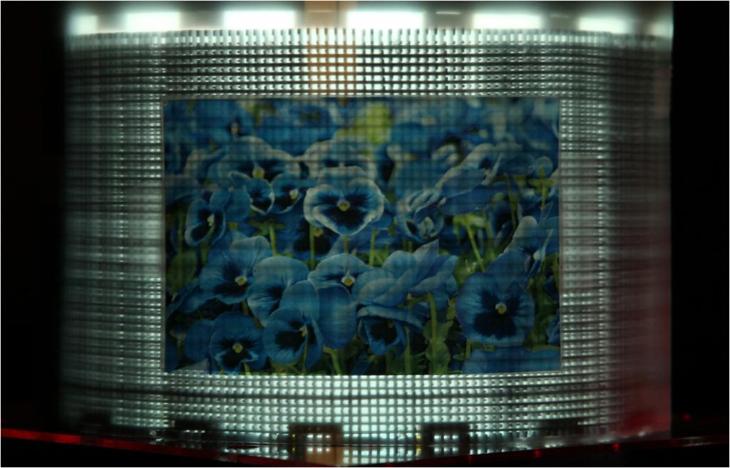 The 2-D image on OHP film instead of the elemental image is displayed using the surface-lightsource mode of the EL film backlight of the cylindrical structure.