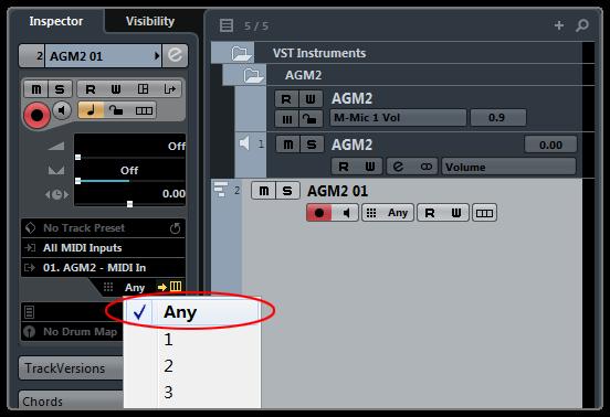 2.11 MIDI Guitar Mode Toggle on when you use midi guitar as input. Make sure the input channel of midi track is set to all. 2.12 