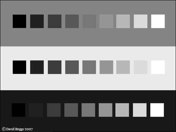 Value Contrast is where light values are placed next to dark values to create contrast or strong differences.