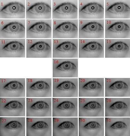 Iris Recognition of Defocused Images for Mobile Phones 5 capturing a sequence of 61 iris images with a sampling interval of 2mm for a single eye.