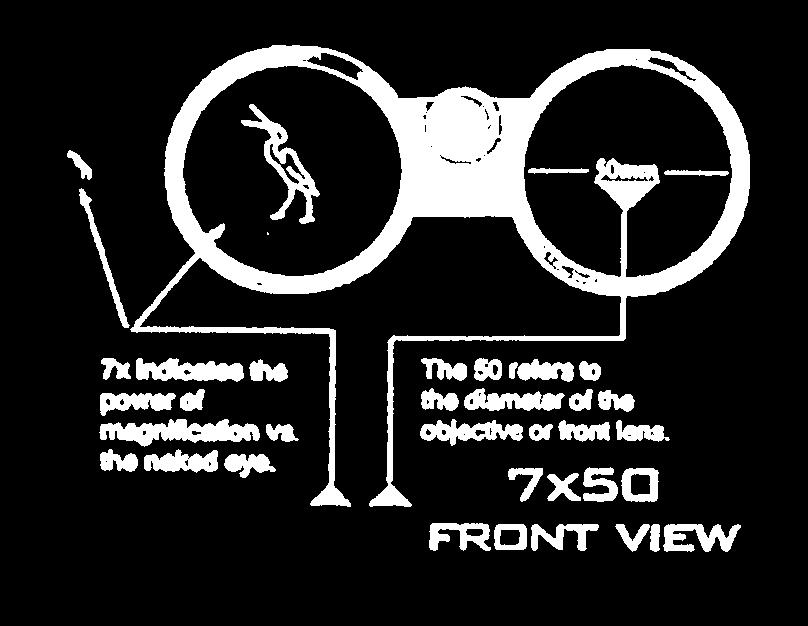 That means this particular binocular magnifies the image seven times, or makes objects look seven times closer.