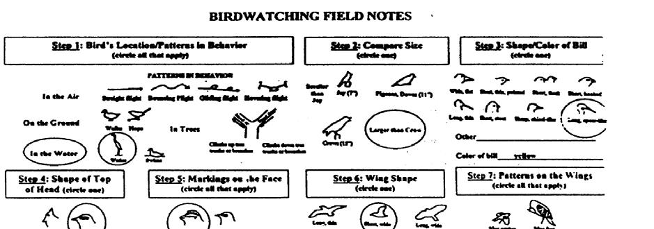 Answer Key Silhouettes 1. land bird 9. land bird 2. water bird 10.