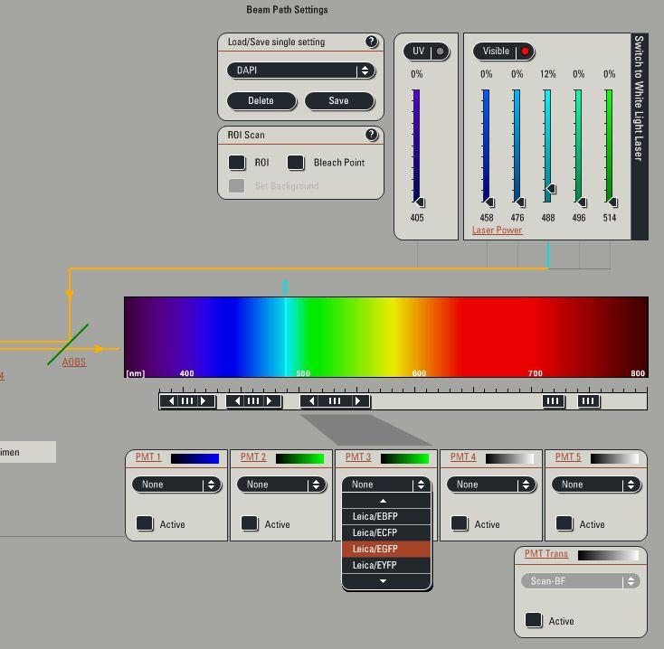 Beam Path Settings 4) To activate a PMT, click on the Active button and choose the color for your fluorophore emission.