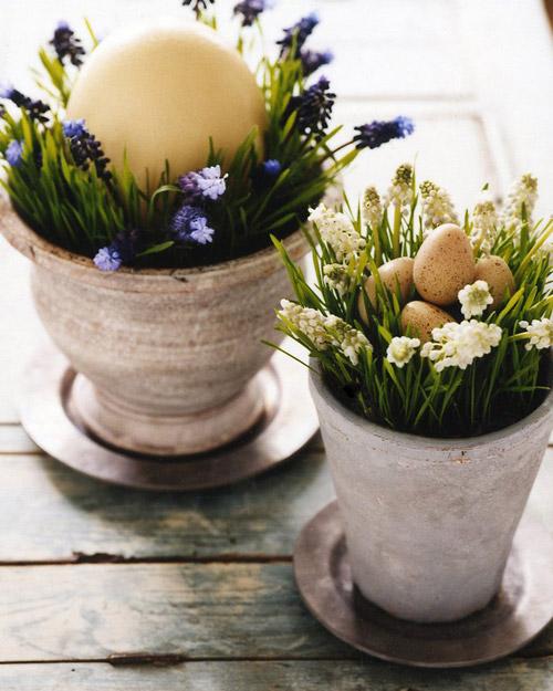 Spring In A Pot Bring your garden inside for your springtime brunch. Enjoy the hallmarks of spring fresh grass, flower blooms and a cache of pretty eggs.