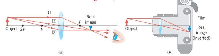 Image Formation by A Converging Lens If p> 2F: When the object is placed further than twice the focal