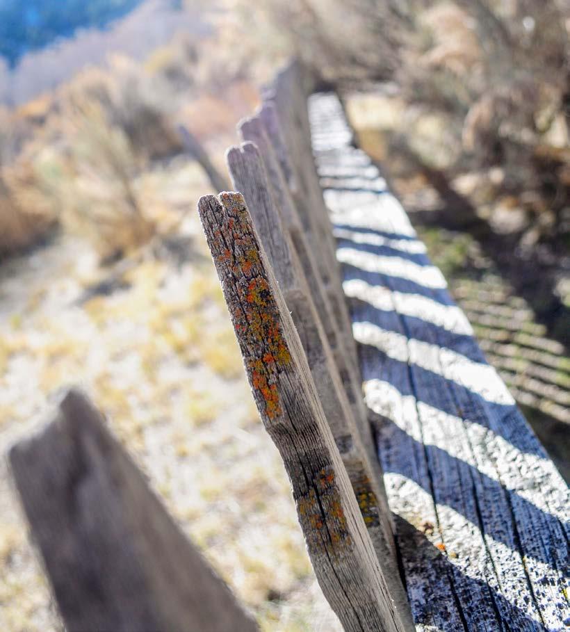 This assignment in Bannack, Montana was to just capture interesting view