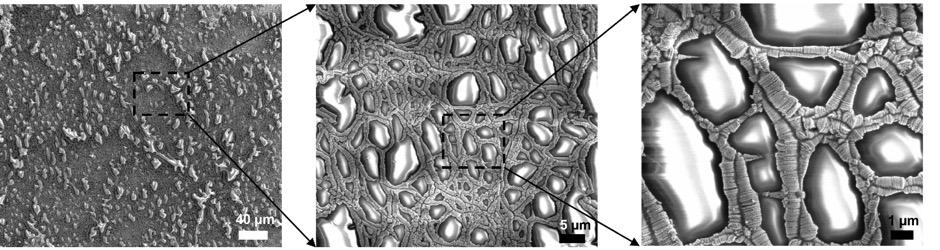 Fig. S5. SEM images (low to high resolution) of gold nanorimes grown on templated mesh structures.