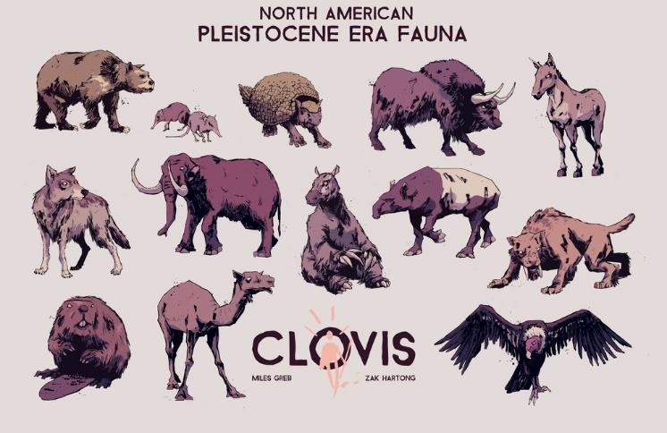 Clovis Lot by Miles Greb Clovis