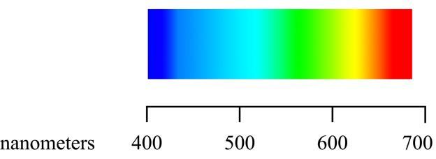 LIGHT AND SPECTRA Visible light is an