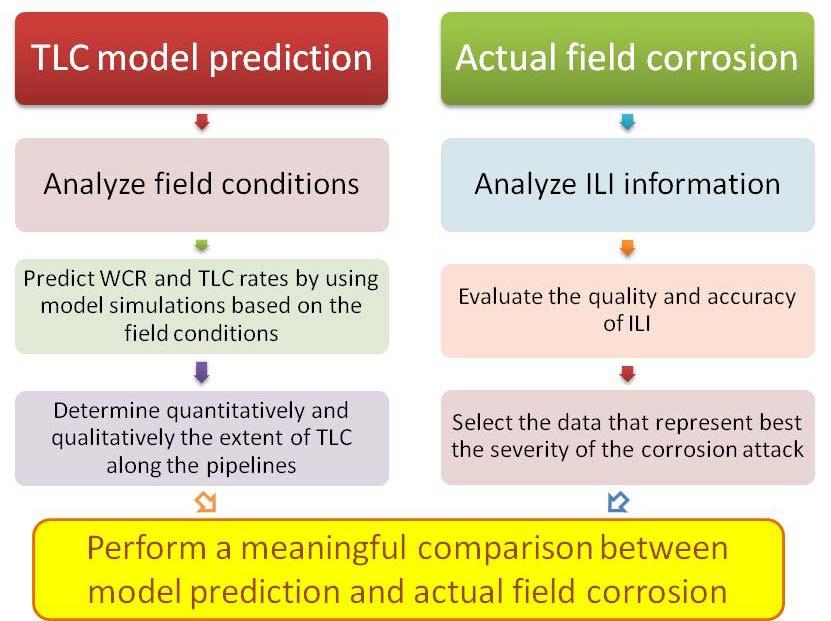 The Procedure The outline of procedure for the comparison between the model prediction and ILI data is presented in Figure 1.