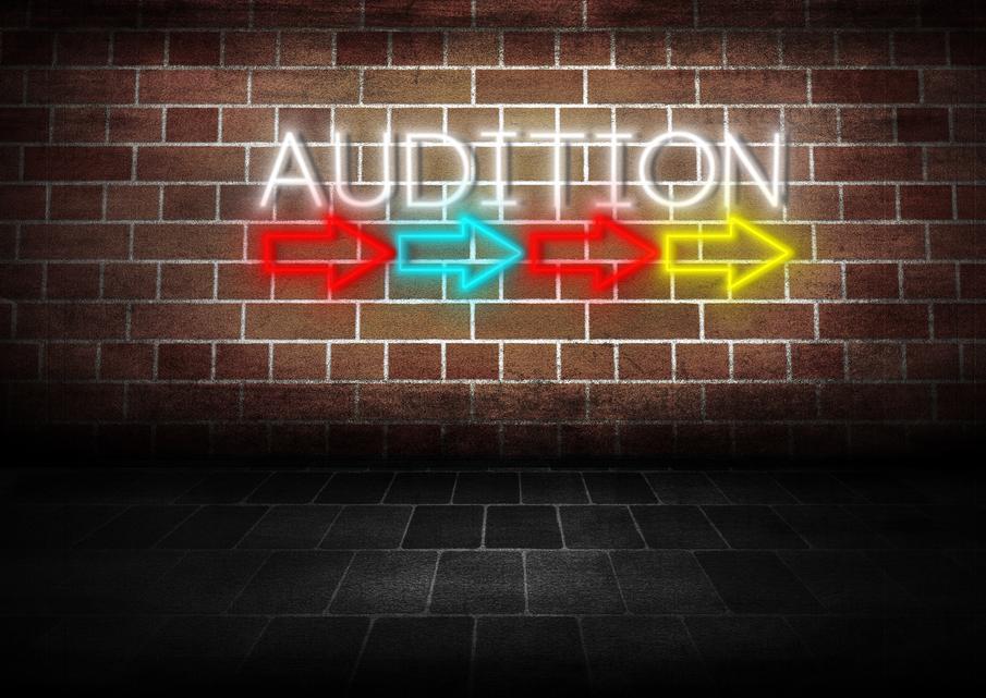 Your auditions - the most important part It doesn t matter how worthy your idea is if you can t get it in front of people.