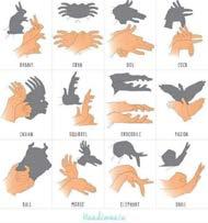 Shadow play is popular in various cultures, among both children and adults in many countries around the world.