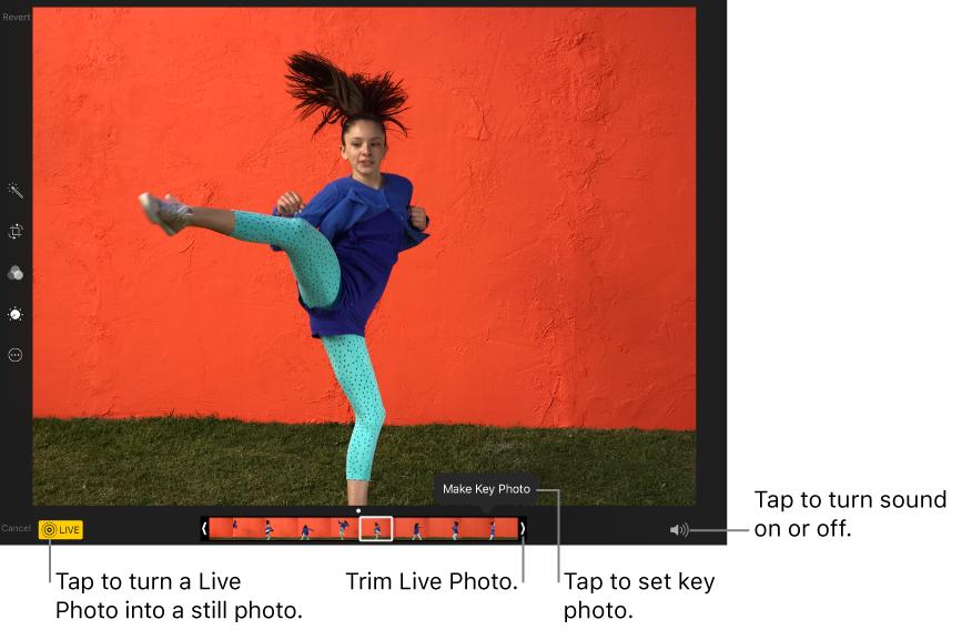 Add a Live Photo effect. Swipe up on a Live Photo and tap an effect. Loop repeats the action in a continuous looping video. Bounce rewinds the action backwards and forward.