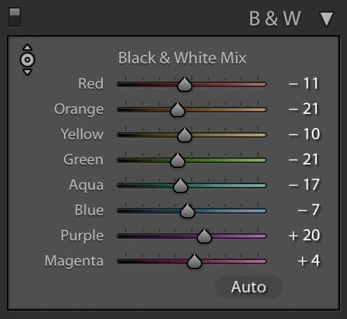 You can roll the mouse over the B&W profile options to see which you like best (Figure 3).