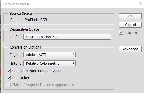 Then we need to convert the image to the correct profile for projecting srgb.