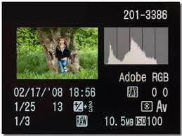Exposure Controls & Aids 1. Histogram. Pushing the Info button, when looking at an image on your camera s LCD screen, will reveal a histogram.