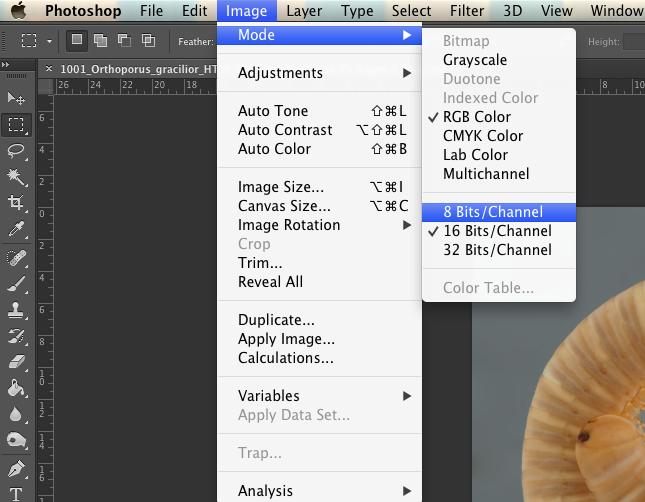 Workspace Setup for Photoshop: 1 4 download Photoshop GDI Color Preset