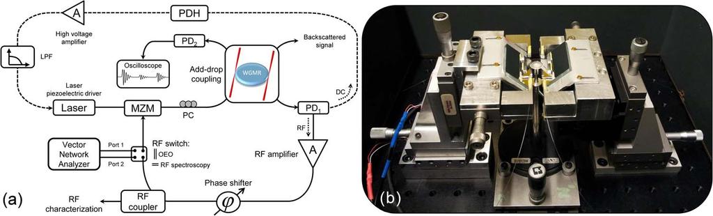 Fig. 1. CRD measurement for two selected optical modes respectively excited in (a) the CaF 2 WGMR and (b) the MgF 2 WGMR. Fig. 2. (a) OEO experimental setup including the PDH laser stabilization loop.