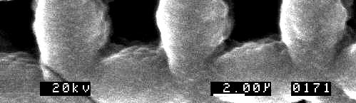 Photocathode on Silicon MCP (Nanosciences) At smaller