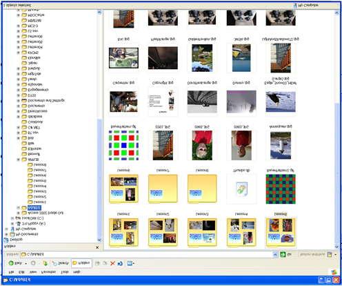 Organizing Your Life I am compulsive. My slide collection. Files on my computer. Collections notebook. Directories.