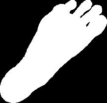 Foot Foot is the distance from your heel to the tip of