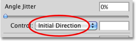 You can also try the Initial Direction option: The Initial Direction forces the angle to the initial direction you paint in.