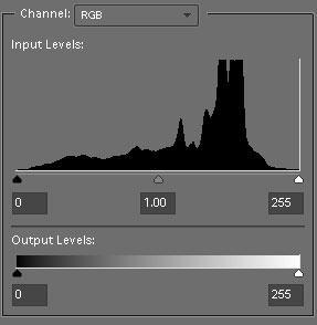 You can quickly ascertain exposure by using the histogram. A histogram shows you how the image is exposed from dark (left side, black or 0 ) to light (right side, white or 255 ).