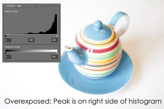 You can see from the histogram that the image has more light areas than dark, because the highest peaks are in the right half of the histogram, toward white.