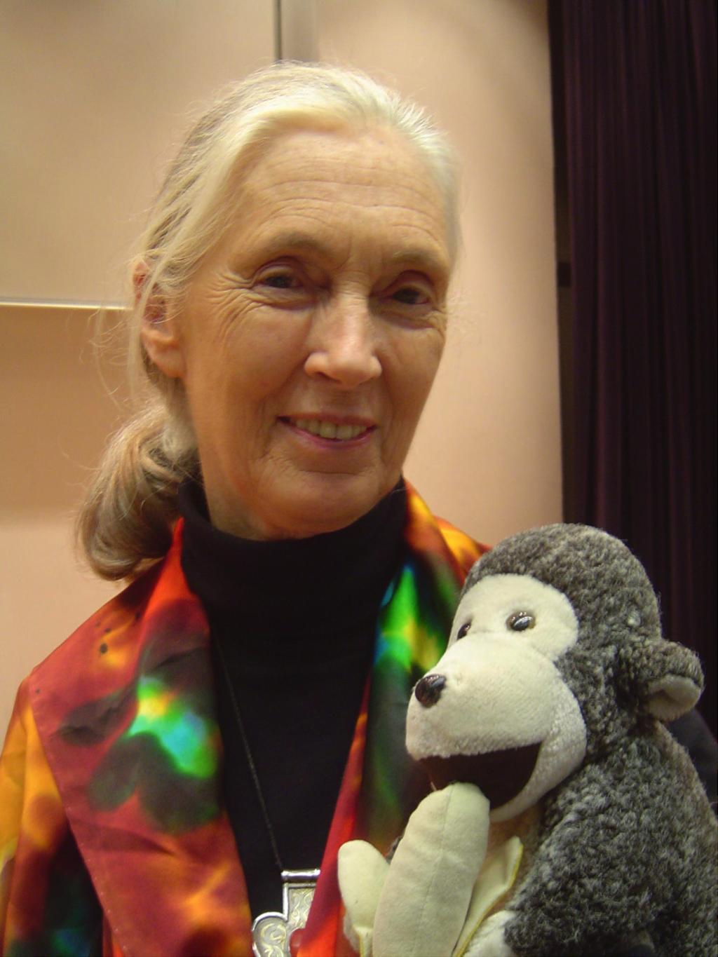 Photo of Jane Goodall by Jeekc (Self-published work by Jeekc) [GFDL (http://www.gnu.org/copyleft/fdl.html), CC-BY-SA-3.
