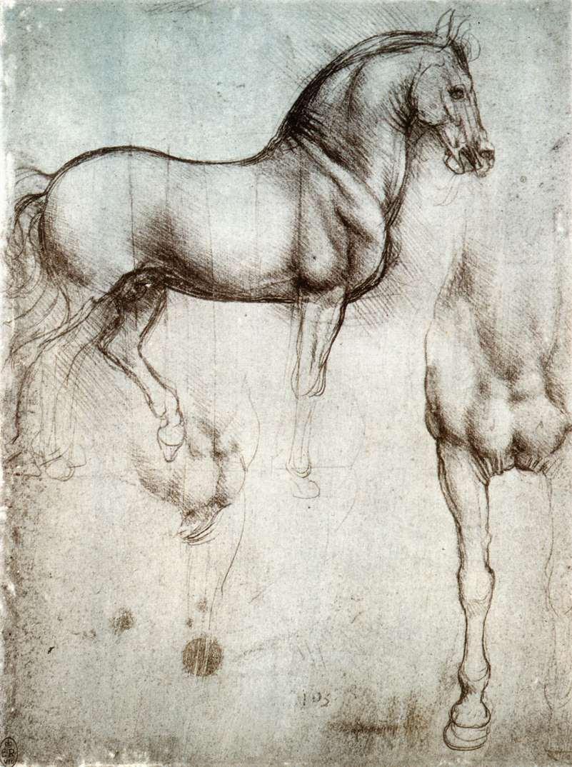 Some of the works of Leonardo Da Vinci Leonardo studied horses because he intended to