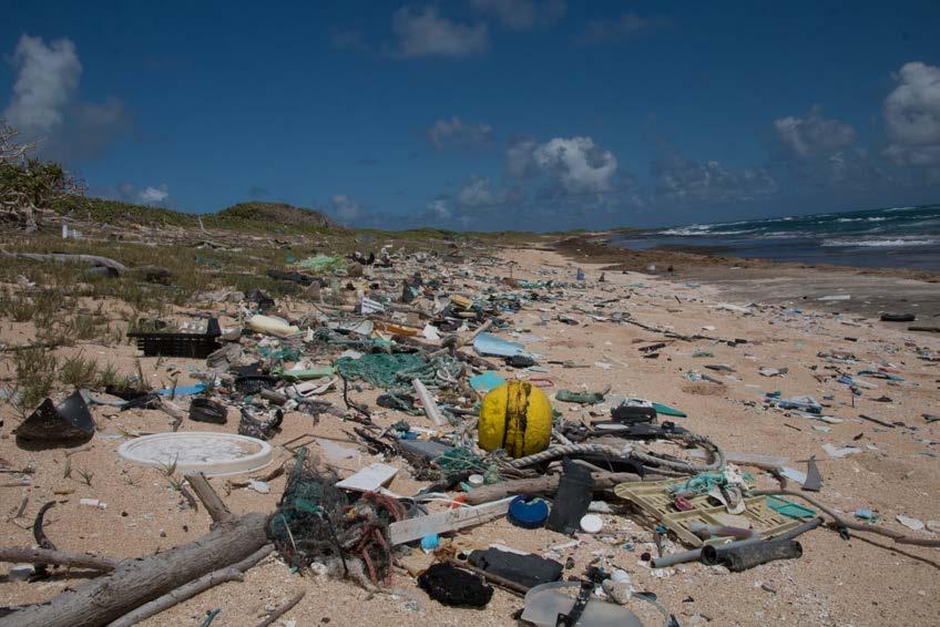 Phenomenon: Plastic products, like straws and bags, are polluting the environment as marine debris (Fig. 2)