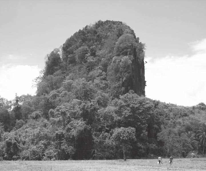 Short Reports 163 Figure 2. Ille Cave from the east. The tower is c. 75m high, see people to right for scale. The cave mouth and trenches are located at the base of the south side.