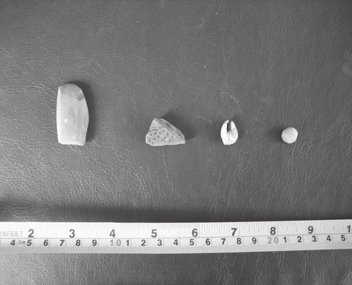164 Short Reports whether the site is older than previously thought. Significant finds in the West Mouth trench include stone tools. Figure 3. Examples of material culture excavated in Ihian trench.