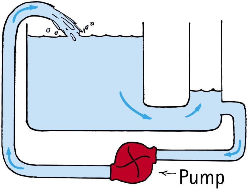 Flow of Charge A continuous flow is possible if the difference in water