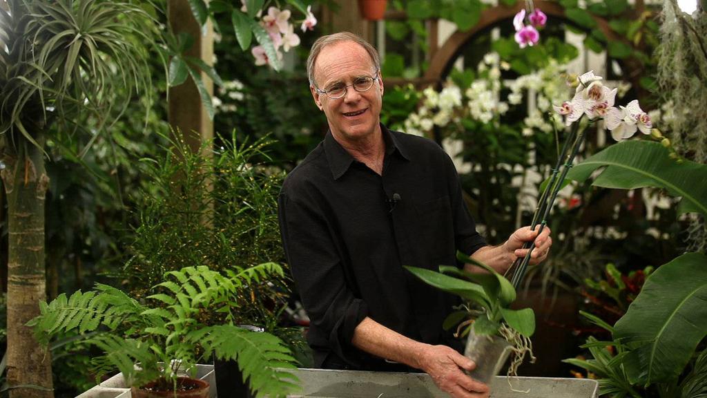 Our September Speaker Bruce Rogers has been growing, hybridizing and decorating with orchids for over 30 years.