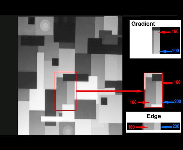 Figure 4 (left) Land's Black and White Mondrian with an area of interest in the lower middle (red outline).