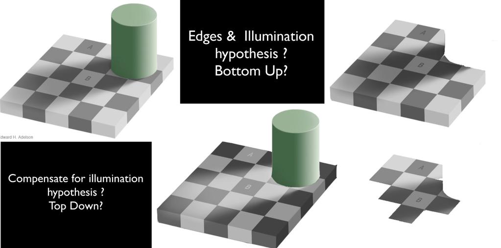 Figure 12 (left top) Ted Adelson's checkerboard made of edges and gradients. Areas A & B have equal digits. (middlebottom) Negative image of the tower experiment in which the tower emits light.