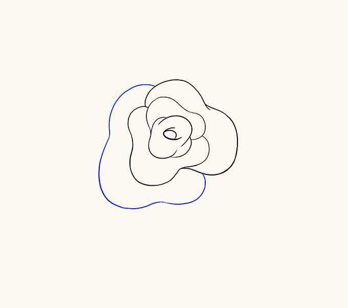 As you continue to add curved petal lines, note how you can create a "fold" detail in the petal by allowing one line to extend into the center of the petal.