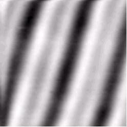 Microscopy Image of grating