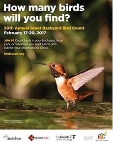 Full details can be found on the website http:// gbbc.birdcount.org. This is a joint effort by Cornell Labs, Audubon and Bird Studies of Canada.