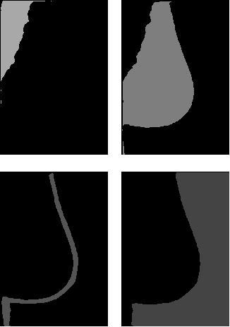 Figure 5.18: Correct image segmentation Figure 5.