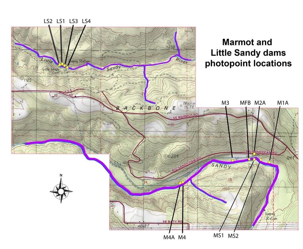 All the above stations, with the exception of the Sandy River delta site, are shown in greater detail in Figure 2.