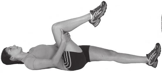floor with your elbows. Hamstring Stretch 1.