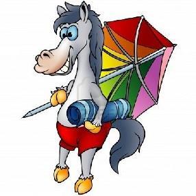 18 th 23 rd August Pony Club Camp. at Lincomb, Stourport-on- Severn. Cost of 295 per child to include polo shirt. A booking form is on the Pony Club website.