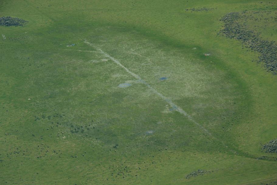 Aerial survey results 37 Brolga observed at 20 locations 9 recorded as breeding sites (3