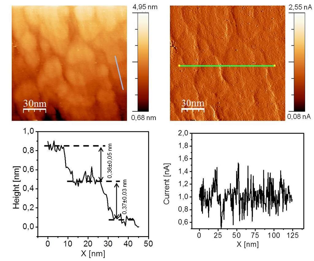 a) b) c) d) Figure S4: STM measurement on an evaporated Au film functionalized with SAM of Cl-MBT-molecules.