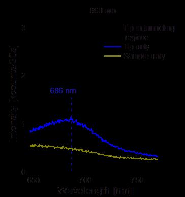Resonance frequency of the tip/sample junction The resonance of the molecule-free tunneling junction is red-shifted by about 50 nm with respect to the broad luminescence