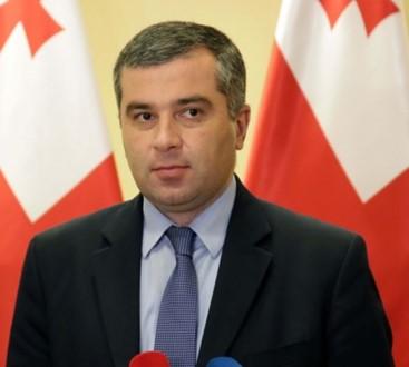 In 1994-1997 he was Head of the Georgian Young Lawyers Association. In 1992, he became a Legal Advisor to the President and Representative of the President to the Parliament.
